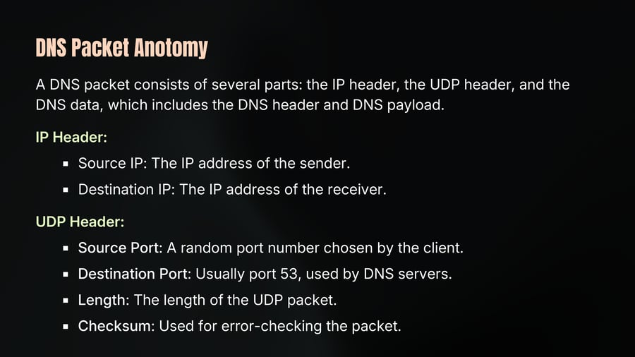 DNS Packet Anotomy