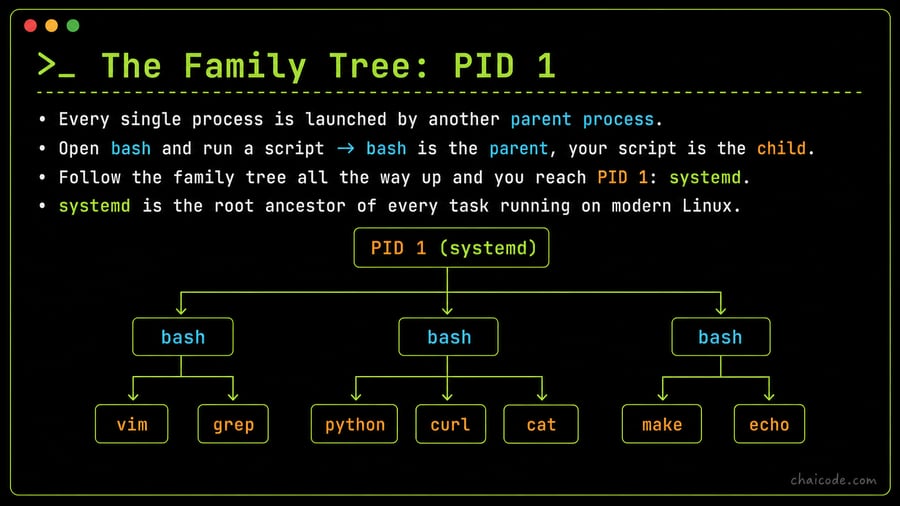A hierarchical family tree diagram branching downwards from 'PID 1 (systemd)' to bash shells and sub-processes.