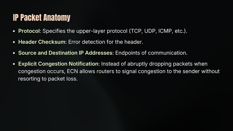 IP Packet Anatomy