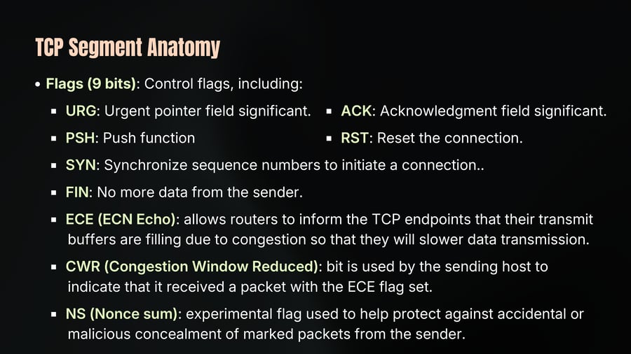 TCP Segment Anatomy