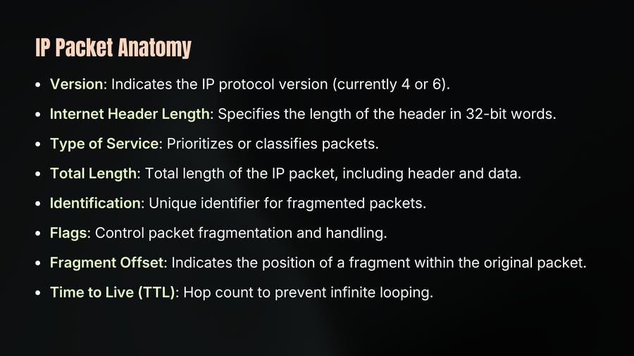 IP Packet Anatomy