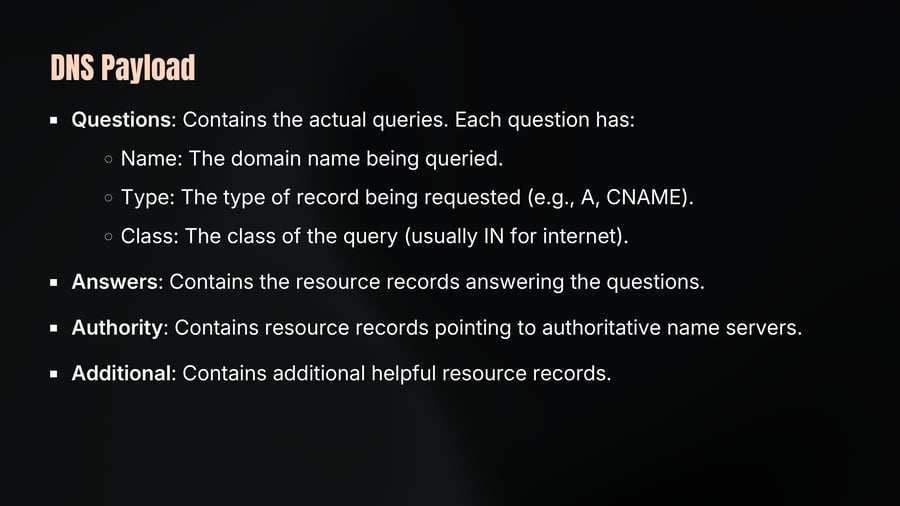 DNS Payload