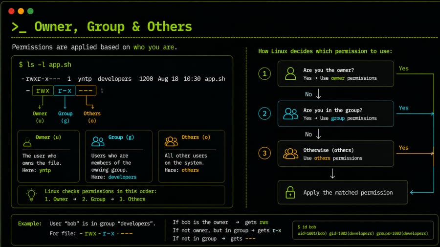 Owner, Group & Others