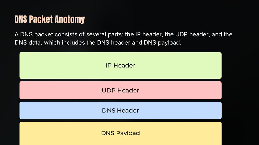 A vertical stack diagram showing the layers of a DNS packet from top to bottom: IP Header, UDP Header, DNS Header, and DNS Payload.