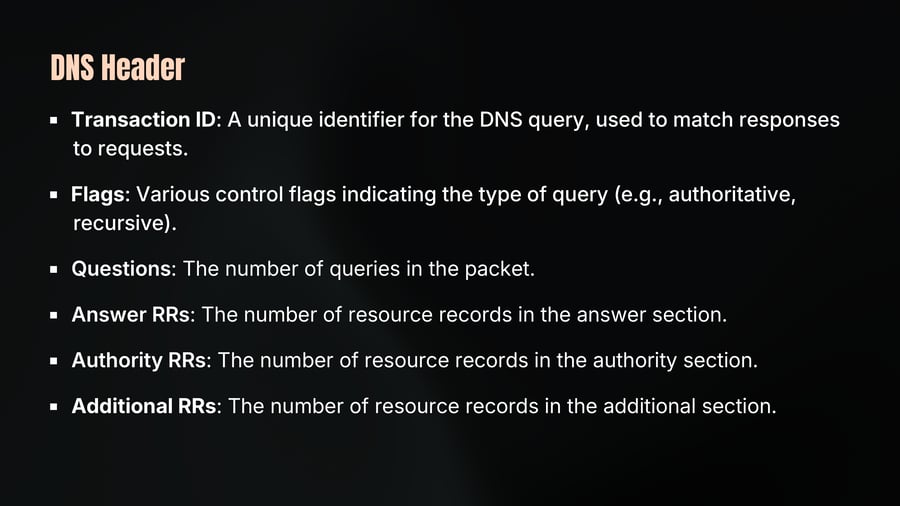 DNS Header